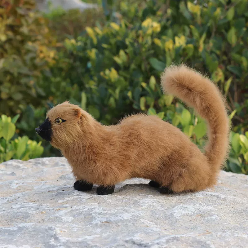 真皮仿真黄鼠狼黄鼬黄家堂口用品真动物模型黄皮子身饰品桌面摆件
