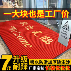 Welcome to the Store! Floor Mats for Entrance Doors, Non-Slip, Water-Absorbent Foot Mats, New Commercial Carpets for Store Entrances