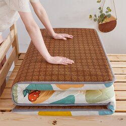 Student Dormitory Mattress, Dual-Use for Winter and Summer, Thickened Double-Sided Rattan Mat, Feather Velvet, Foldable, Suitable for Homestay and Home Use