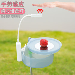 Mini bait tray small fishing box with floor insertion bracket