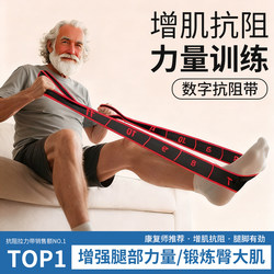 Kdst Yoga Resistance Band Strength Training Digital Segmented Resistance Band Fitness Back Training Pilates Dance