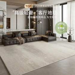 Living Room Carpet 2025 New Model High-End Light Luxury Style Sofa Coffee Table Rug Stain-Resistant Faux Cashmere No-Wash Wipeable Floor Mat