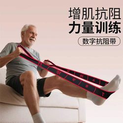 German Resistance Band for Muscle Building, Digital Resistance Band for Middle-Aged and Elderly People, Special Rehabilitation for Gluteus Maximus, Elastic Band for Leg Strength Training