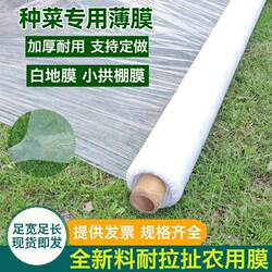 Specialized Plastic Film for Growing Vegetables, Thickened Polyethylene Plastic Sheet for Planting, Insulation and Moisture Retention, Greenhouse Cement Engineering