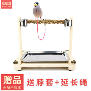 
Glue-mouthed shriek starling brother thrush Xuanfeng Peony Parrot Bird Station Training Bird Station Ankle Chain