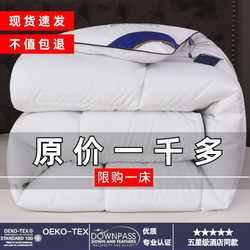 Export Hotel Spring and Autumn Quilt, Duvet Insert, Feather Velvet Quilt, Double Thickened Warm Winter Quilt, Air Conditioning Summer Quilt, Machine Washable