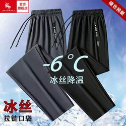 Men's Summer Sports Pants 2026 New Quick-Dry Lightweight Breathable Spring and Autumn Ice Silk Straight-Leg Pants