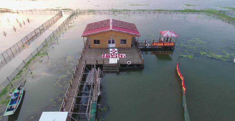 阳澄湖“明星”大闸蟹，秋季吃蟹最佳选(图3)