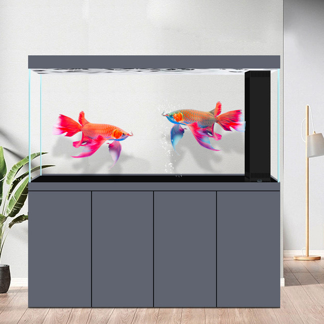 Visual Reference: High End Ultra White Glass Arowana Tank Living Room Large