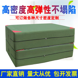 High Jump Sponge Mat, Somersault Sports Mat, Foldable Thickened Taekwondo Mat, Martial Arts Training Dance Gymnastics Protective Mat