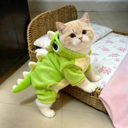 Cat Clothes for Autumn and Winter, Fleece-Lined, Warm and Cute, Little Dinosaur Transformation Outfit for Dogs, Teddy, Bichon, Pomeranian Pets
