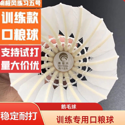 Antarctic Wind Practice No. 5 Goose Feather Badminton Shuttlecock, White, Straightened, Stable Flight, Durable, Suitable for Training Use, Standard Ball