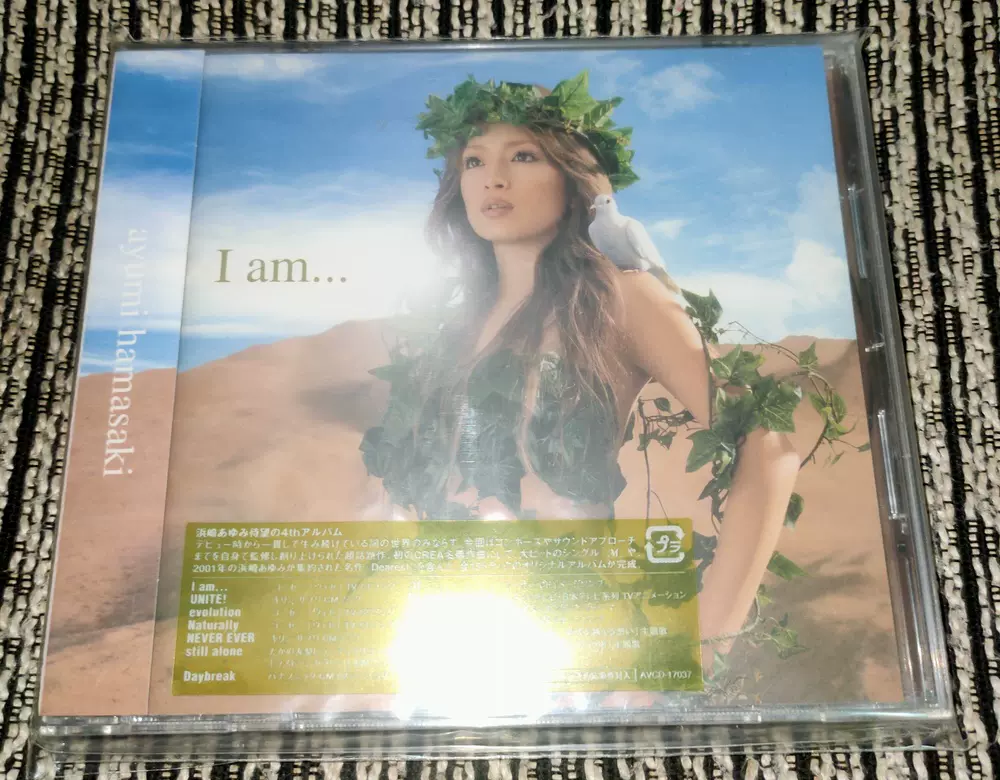 【美品】 浜崎あゆみ B2 ポスター Daybreak 美品」 浜崎あゆみ Daybreak ポスター B2