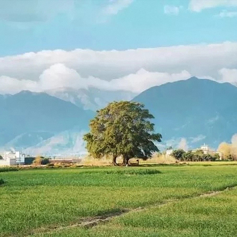 丽江大理泸沽湖/香格里拉7天6晚跟团游12人小团特色客栈美食雪山