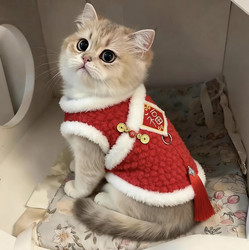 Kitten Clothes for Winter, New Year Embroidered Blessing Character Vest, British Shorthair Ragdoll Golden Shaded Layered Anti-Shedding Fleece-Lined Warm Clothing