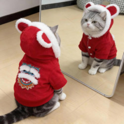 Cat Clothes Winter Warm Cotton Coat American Shorthair Ragdoll Orange Cat Small Dog Pet Thick Cute Two-Legged Clothing