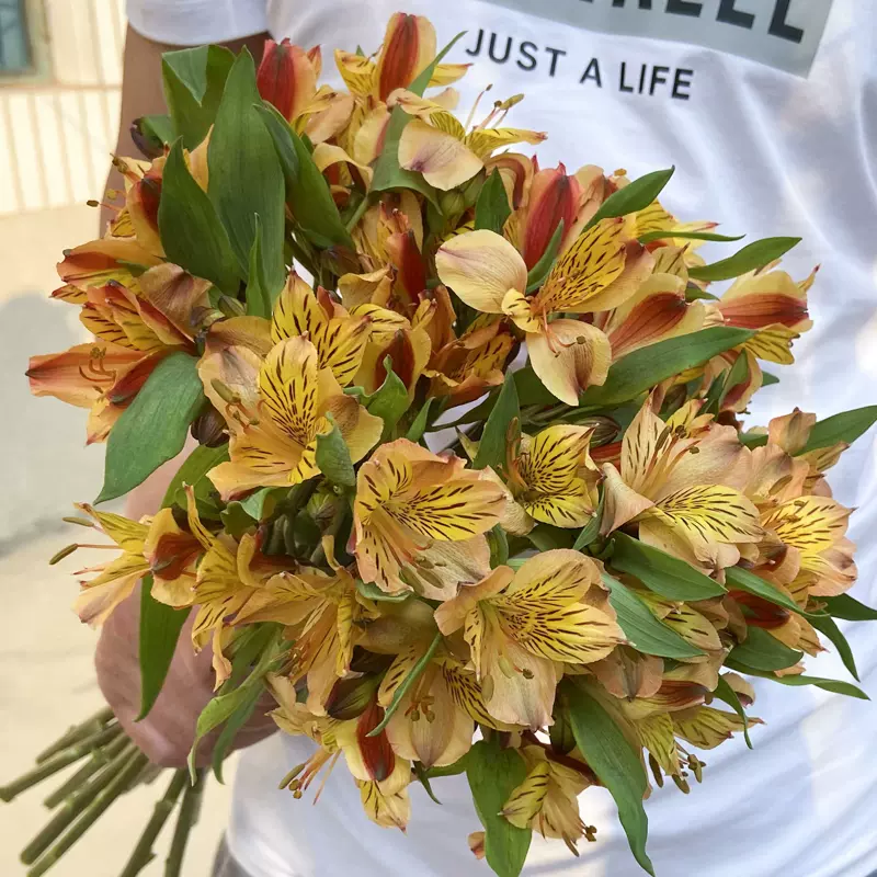 水仙百合六出花鲜花家用鲜切花水养真花办公室插花基地