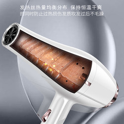 Hot-selling pet hair dryer hair dryer high-power hair dryer water blower hair blowing artifact cat and dog bathing