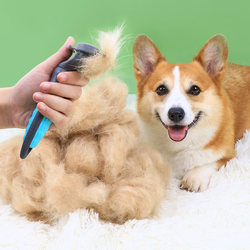 Best-selling pet dog comb combing artifact cat brush Shiba Inu Corgi small dog defloating hair brush dog hair supplies