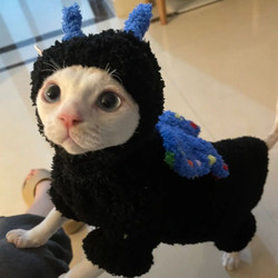 Cat clothes, autumn and winter warm and thickened plush hooded sweatshirts, cute little devil dog pet clothes