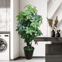 Simulated Green Plants, Large Money Tree, Living Room Decoration, Green Indoor Artificial Flower Pots, Plastic Plants, Fake Bonsai