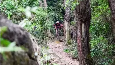 芦仙山景区图片