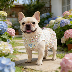French Bulldog-Specific Dog Clothes 2026 New Spring and Summer Thin Style Spring Small Dog Pet Dress Vest