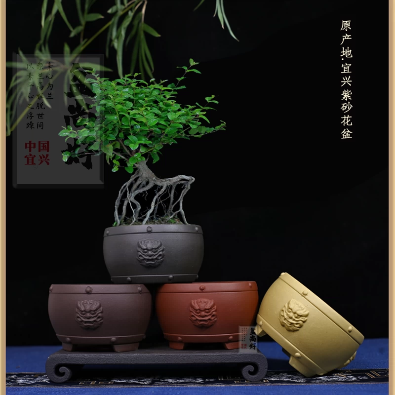 宜兴紫砂花盆小号多肉菖蒲桌面绿植盆景文竹老桩