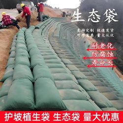 Slope Protection Green Ecological Bag, Slope Protection and Greening, River Flood Prevention, Environmental Protection, Soil Engineering, Hillside Soil Retaining Grass Seed Planting Bag