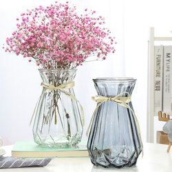 European Geometric Creative Glass Vase Transparent Hydroponic Pothos Plant Flower Vessel Home Living Room Flower Arrangement Ornaments