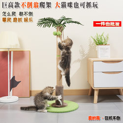 Coconut Tree Cat Climbing Frame, Small and Space-Saving, Scratch-Resistant Cat Scratching Post, Cat Scratching Board, Kitten Toy Supplies