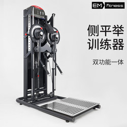 Gym Equipment Multifunctional Butterfly Machine Side Raise Chest Training Integrated Dual-Arm Machine Large Commercial Side Arm Lift