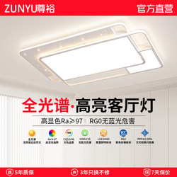 Living Room Lamp 2025 New Model Modern Simple Led Lamp Starry Sky Eye Protection Ceiling Lamp Zhongshan Lighting Whole House Package