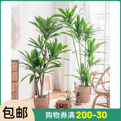 Nordic ins Artificial Plants, Fake Flowers, Green Potted Plants, Decorative Items, Areca Palm, Living Room Indoor Floor-Standing Large Decoration