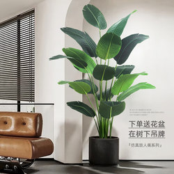 Fake Green Plants for Decoration, Artificial Indoor Potted Plants, Large Floor-Standing Ornaments, Light Luxury Green Plants for the Living Room, Traveler's Banana