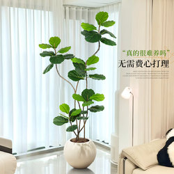 Artificial Plant Ficus Lyrata Floor-Standing Potted Plant Indoor Large Artificial Green Plant Ornament Living Room Light Luxury Decorative Flower Fake Tree