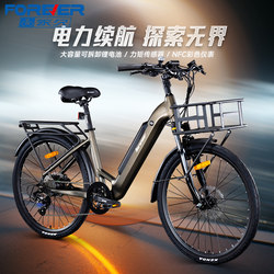 Permanent Detachable Lithium Torque-Assisted Electric Bicycle Mountain Bike for Men and Women, Dual Disc Brakes, Aluminum Alloy Frame, Variable Speed