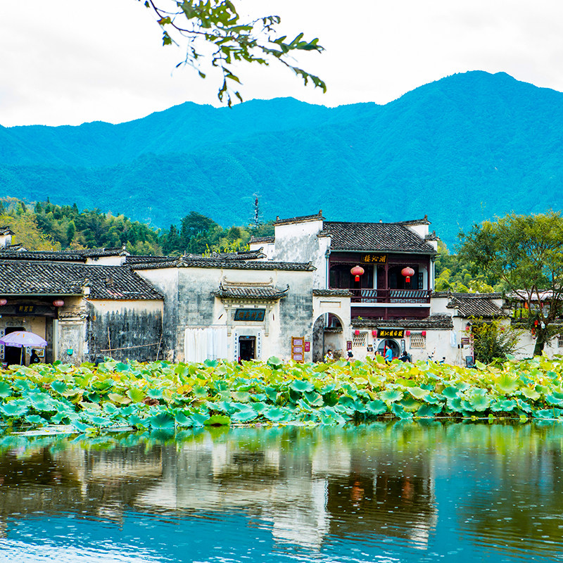 安徽黄山宏村西递纯玩一日游【跟团游市区屯溪酒店接送】