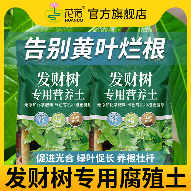 Special soil for planting and raising wealth trees Nutrition soil Flower soil Pot planting soil Money tree fertilizer Special fertilizer soil humus soil
