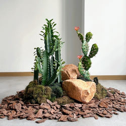 Simulated Cactus Landscaping, Desert Plants, Shopping Mall Staircases, Indoor Window Display Props, Scene Decoration Ornaments