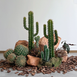 Simulated Cactus Landscaping Ornaments, Window Display Props under Stairs, Indoor Window Display Photography Props, Desert Plant Scene Decoration