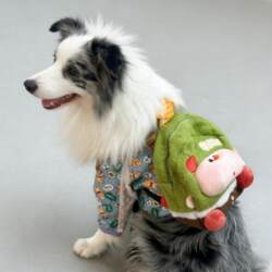 Dog Backpack for Large Dogs to Carry When Going Out, Portable Snack Backpack for Samoyed, Golden Retriever, and Alaskan Malamute