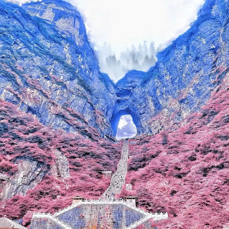 长沙张家界凤凰古城5天4晚跟团游纯玩玻璃桥森林公园天门山含高铁