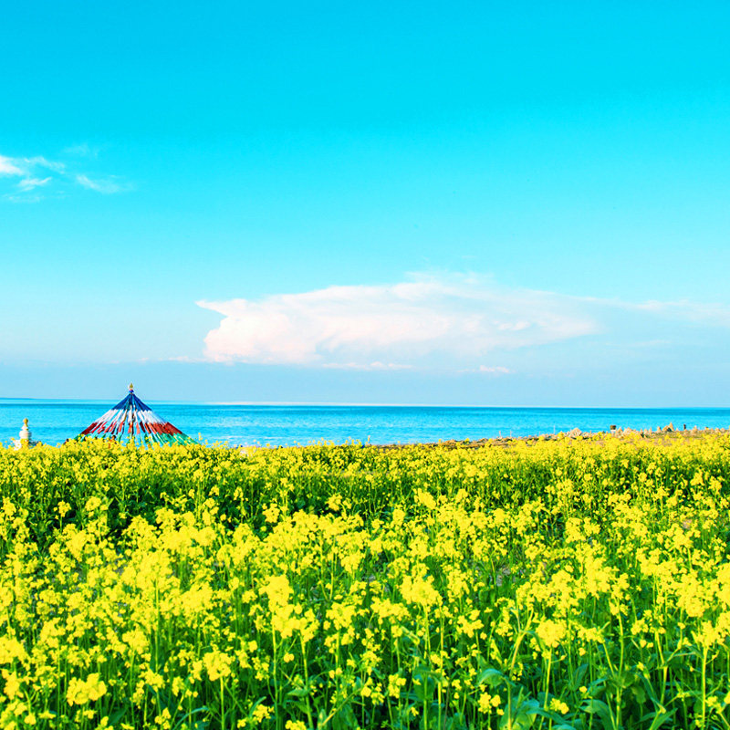 青海旅游拼车青海环线西宁2天1晚青海湖茶卡盐湖拼车2日跟团游