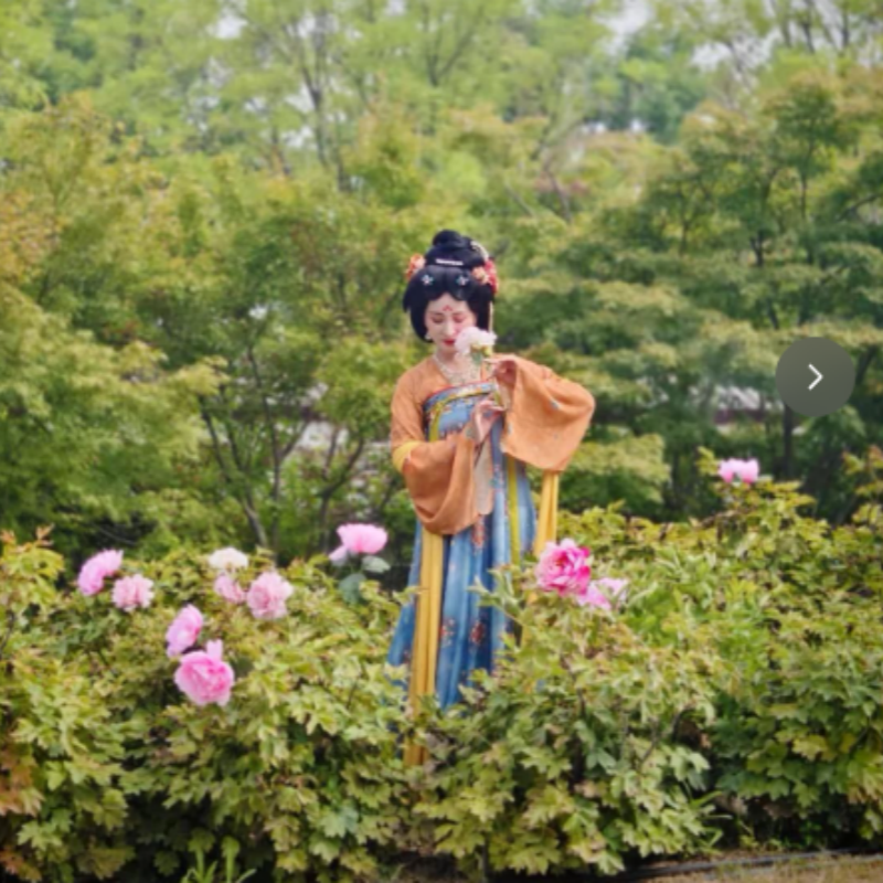 z河南洛阳1天1晚大牌酒店+可选老君山/龙门石窟/白马寺