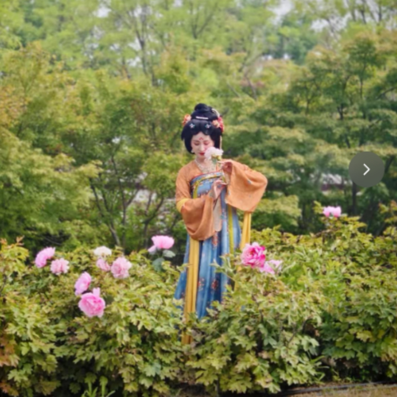 z河南洛阳大牌酒店3天2晚+可选老君山/龙门石窟/白马寺