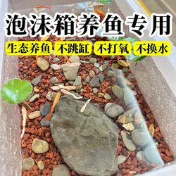 Foam Box for Fish Farming, High-Density Thickened Turtle Tank, Household Fish Tank, Extra-Large Size for Growing Vegetables, Raising Shrimp, and Raising Ornamental Fish