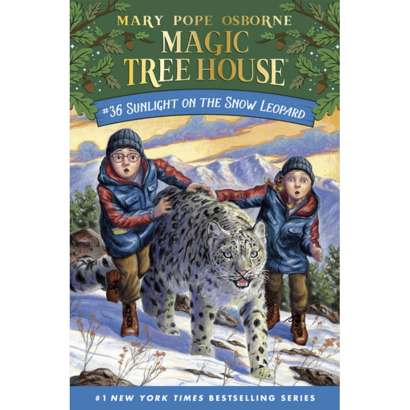 Magic Tree House 36 Sunlight on the Snow Leopard 神奇树屋第