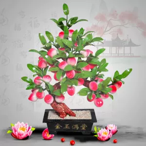 玉石桃树- Top 100件玉石桃树- 2024年5月更新- Taobao