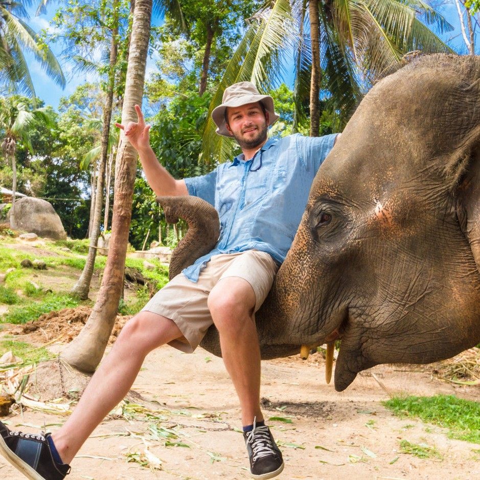 包机票住五星|云南西双版纳旅游6天5晚跟团游植物园父母亲子旅行
